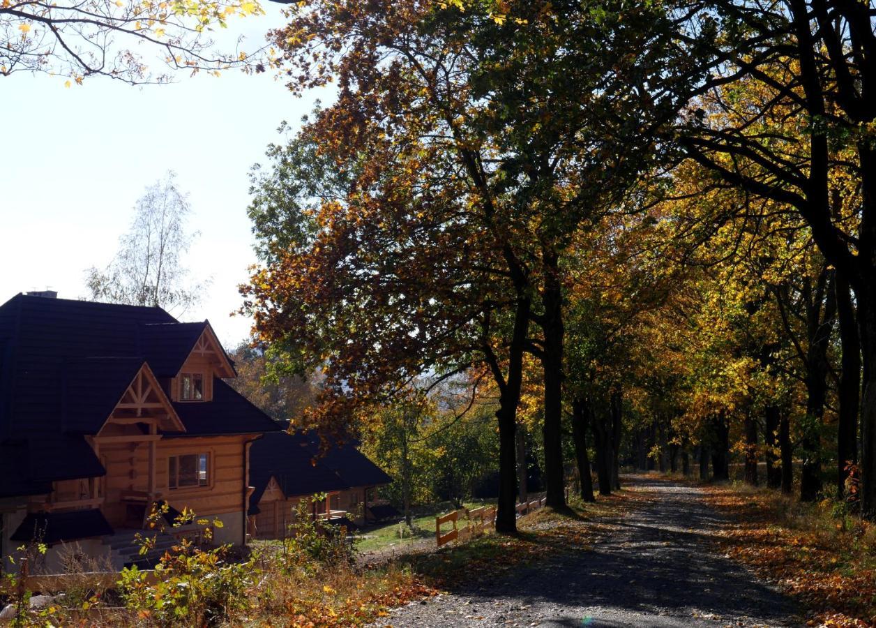 Osada Sudecka Villa Lądek-Zdrój Eksteriør bilde