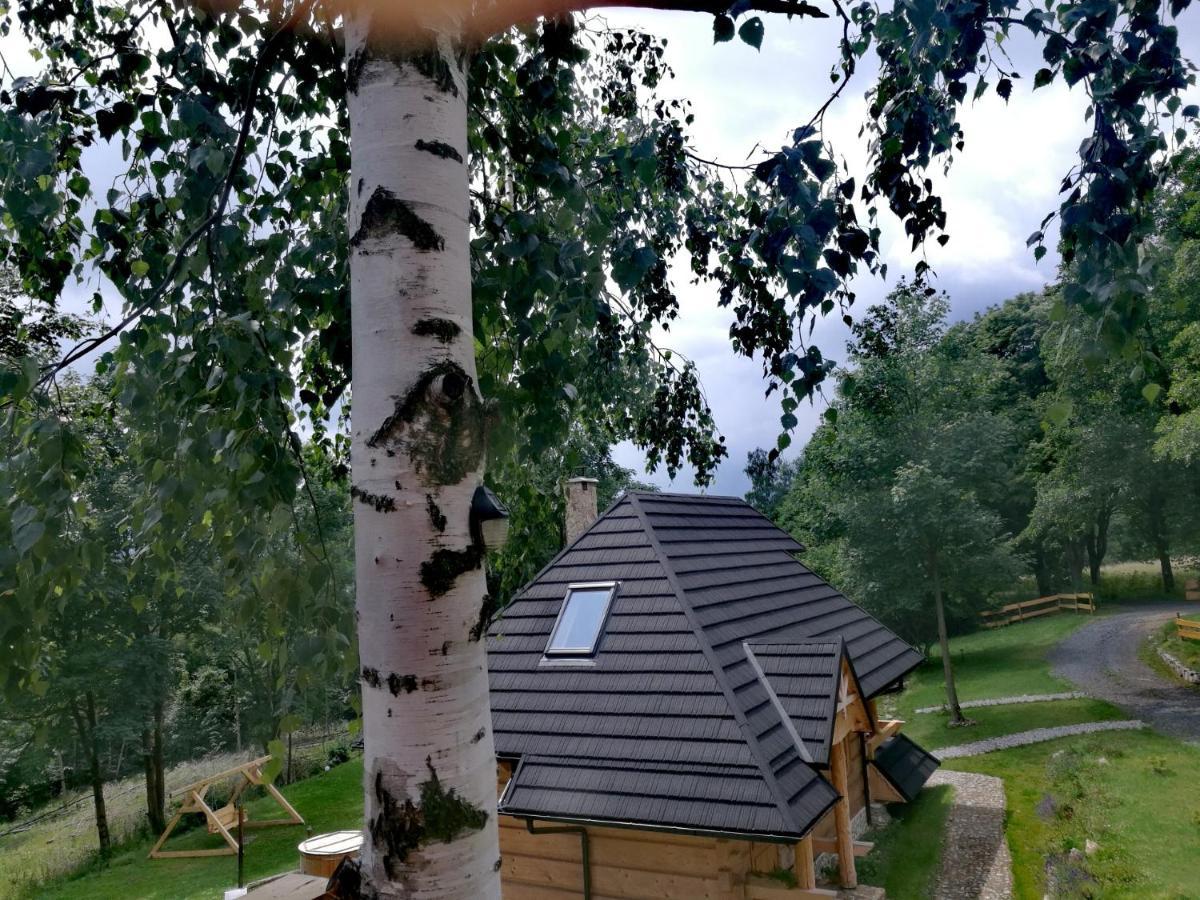 Osada Sudecka Villa Lądek-Zdrój Eksteriør bilde